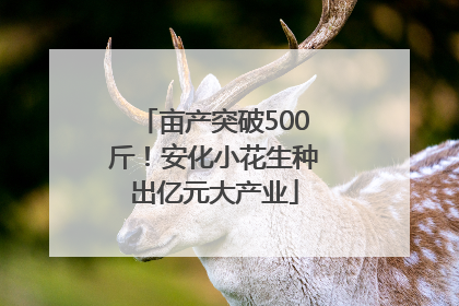 亩产突破500斤！安化小花生种出亿元大产业